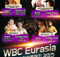 2016년 10월 29일 서울경기 포스터