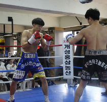 한동균 판정4R 홍성효 (한국 신인 최강전 배틀로얄 16강전, 18/01/27 포천)